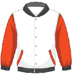 Illustration veste
